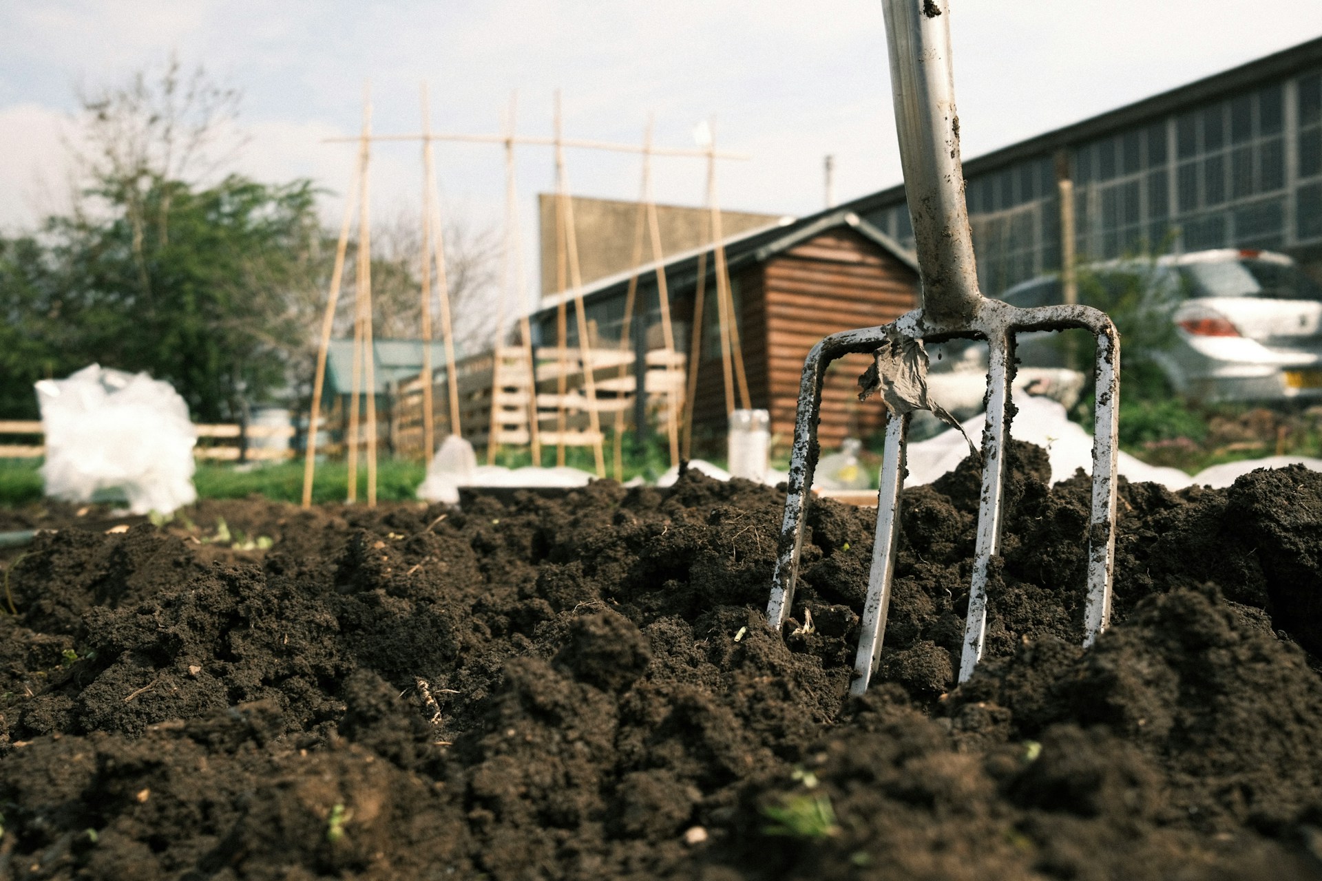 Starten met een moestuin? Dit heb je allemaal nodig