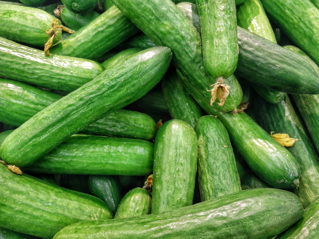 Groenten kweken in je eigen tuin: zo pak je het aan
