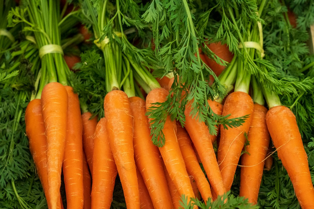 Wortel inmaken: zo doe je het stap voor stap