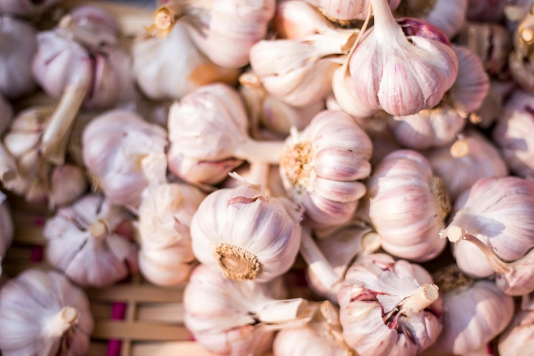 Knoflook inmaken: zo doe je het stap voor stap