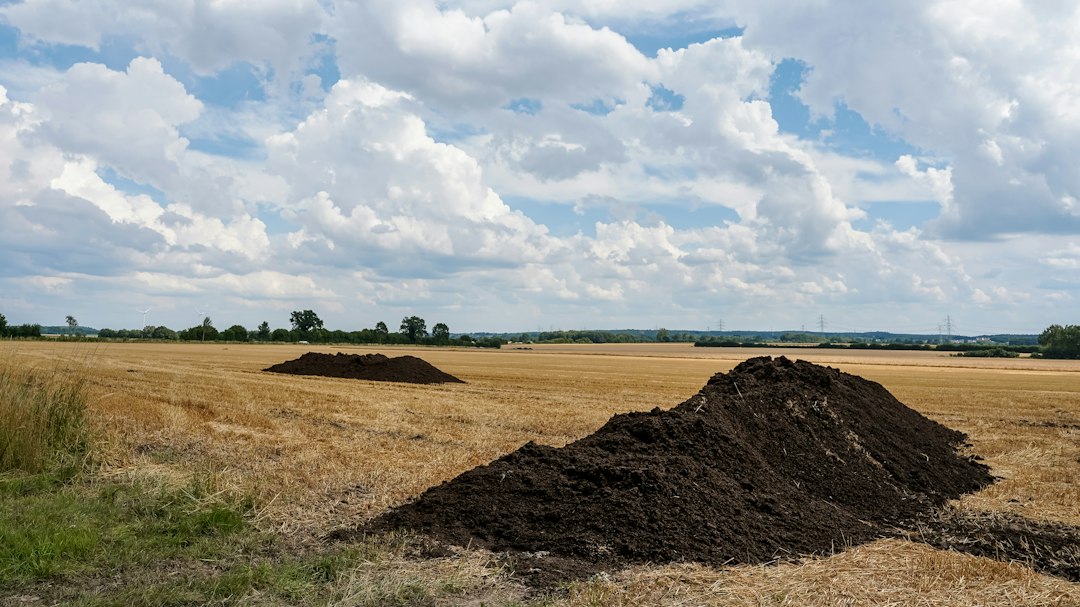 Composteren versnellen: zo heb je eerder bruikbare compost