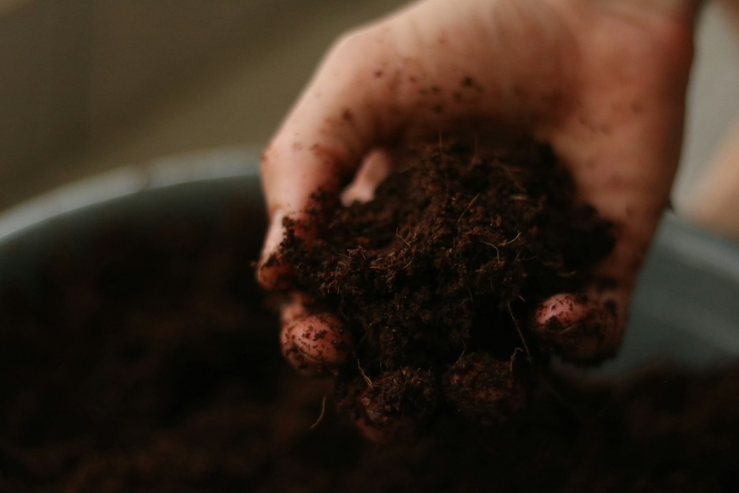 Wormenbak: alles wat je moet weten over vermicomposteren thuis