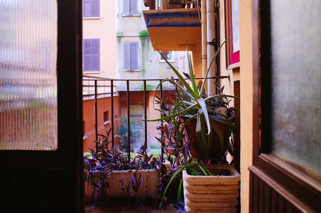 Compostbak op het balkon: zo doe je het stap voor stap