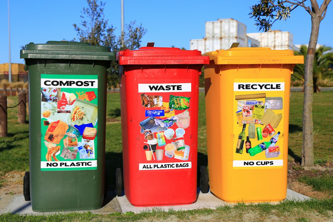 Beste compostbak van 2026: waar je op moet letten bij je keuze