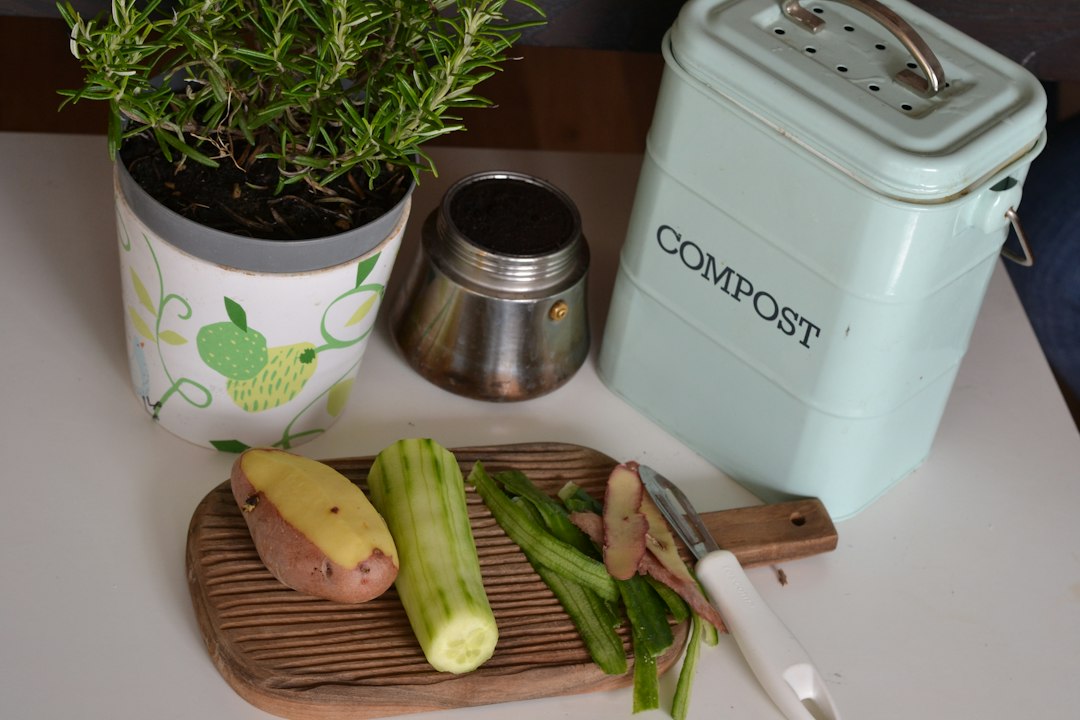 Compostbak: alles wat je moet weten over kiezen, gebruiken en onderhouden